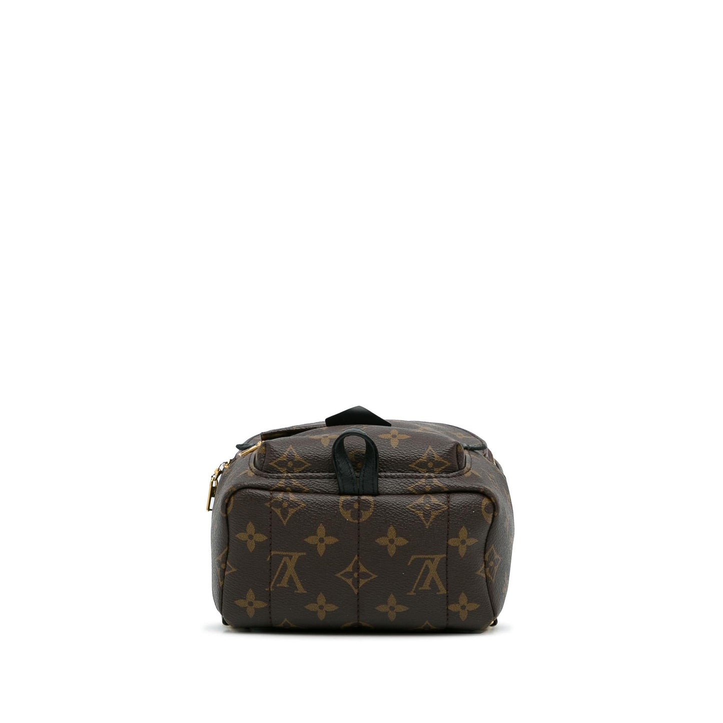 Louis Vuitton Monogram Palm Springs Mini (SHG-RO8kOH)