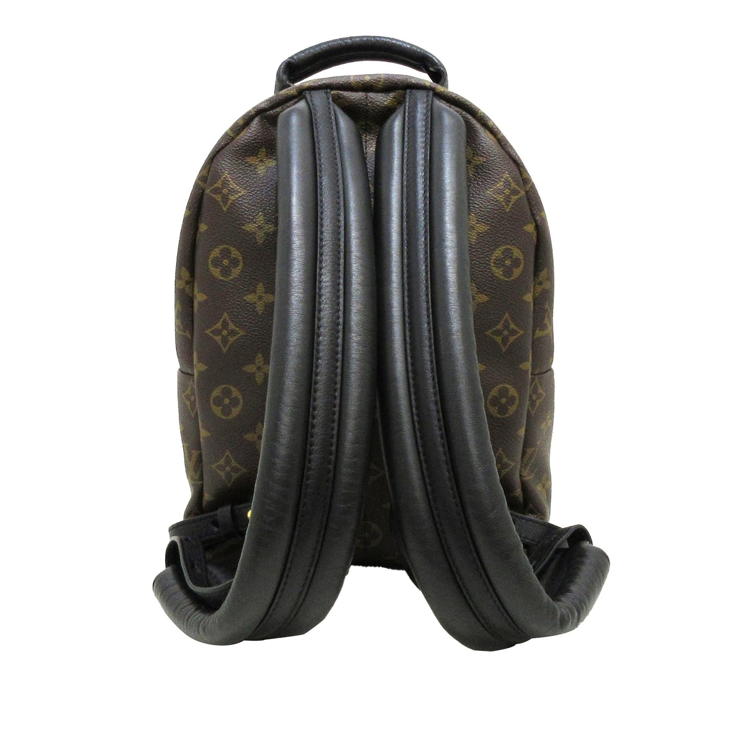 Louis Vuitton Monogram Palm Springs PM (SHG-Nyf1CL)
