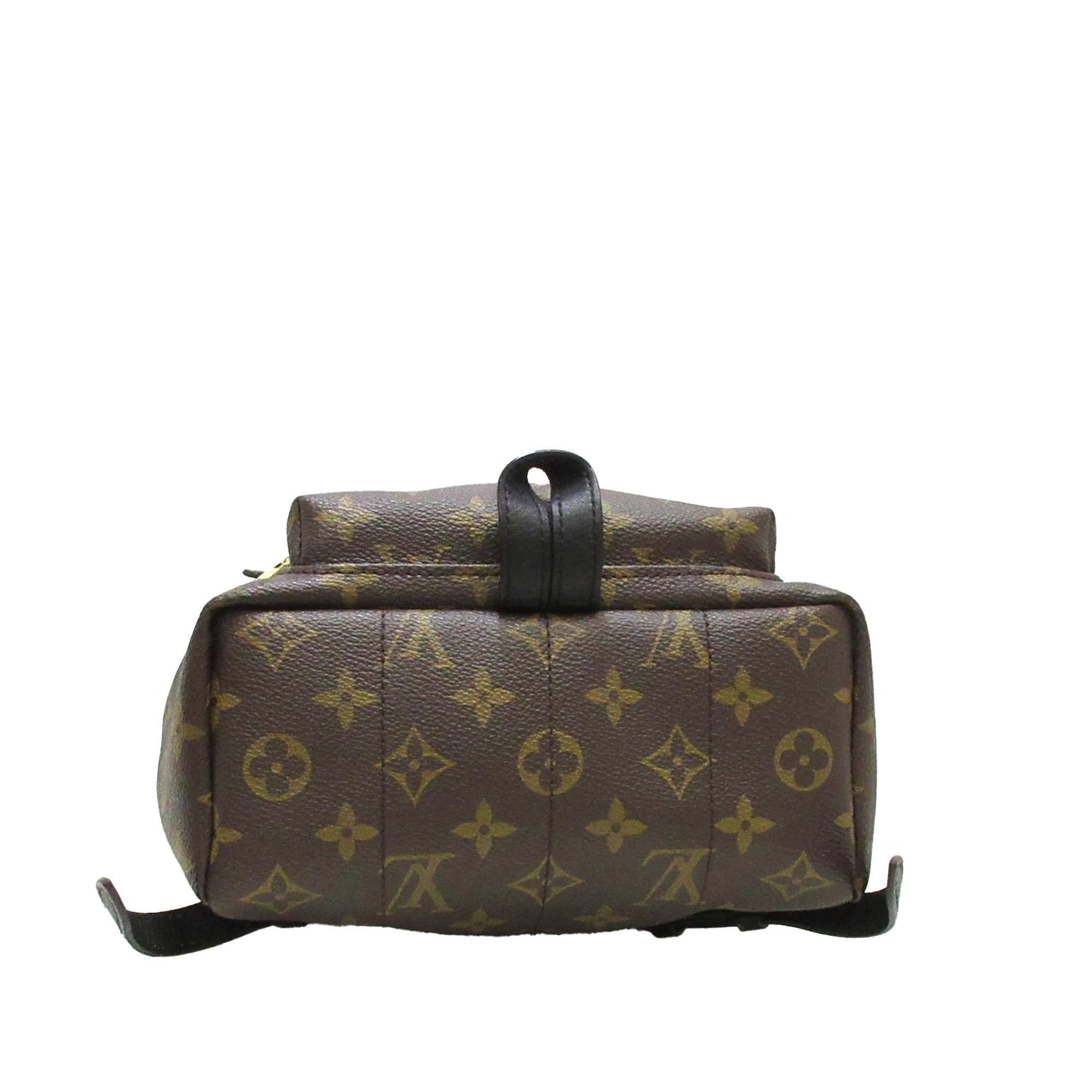 Louis Vuitton Monogram Palm Springs PM (SHG-Nyf1CL)