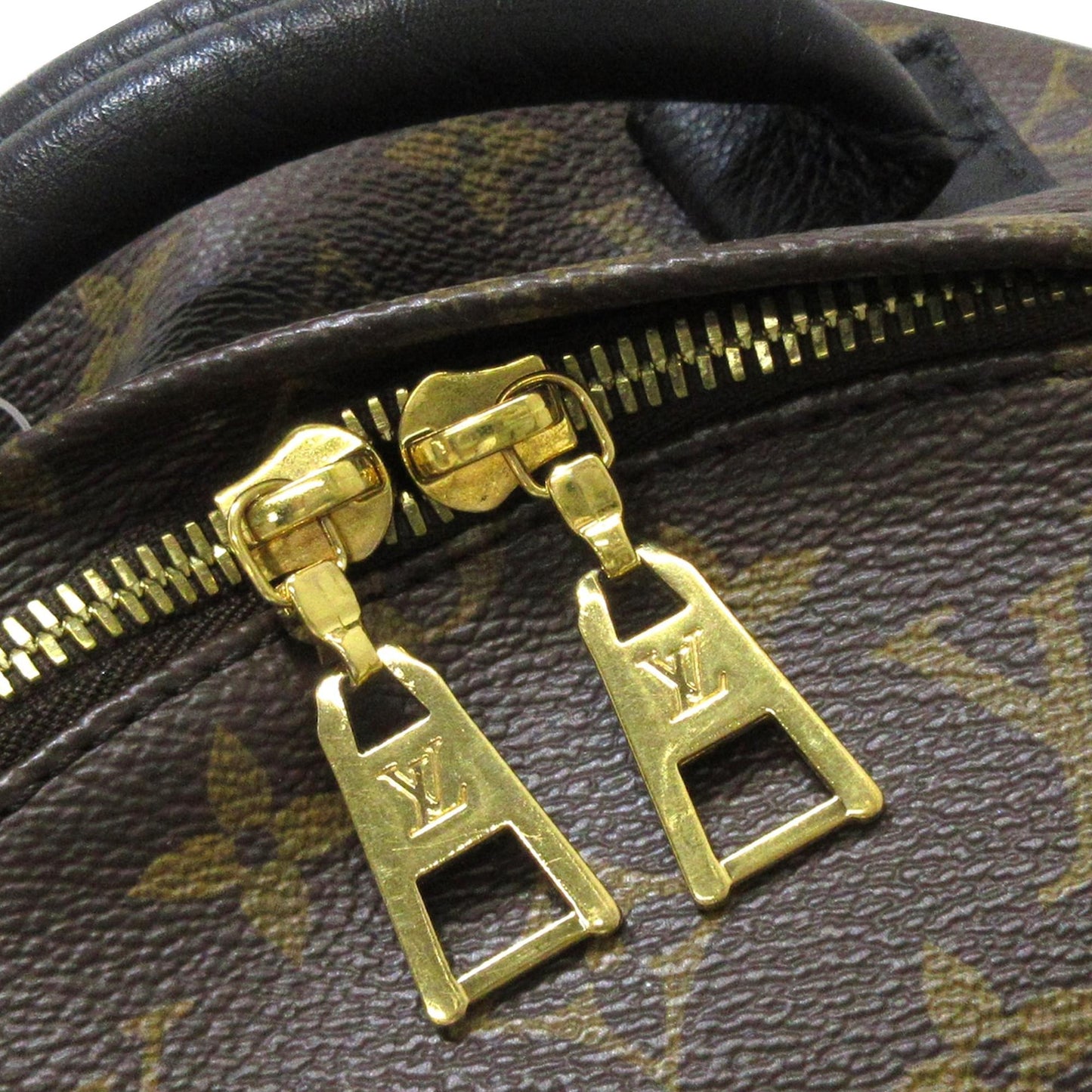 Louis Vuitton Monogram Palm Springs PM (SHG-Nyf1CL)
