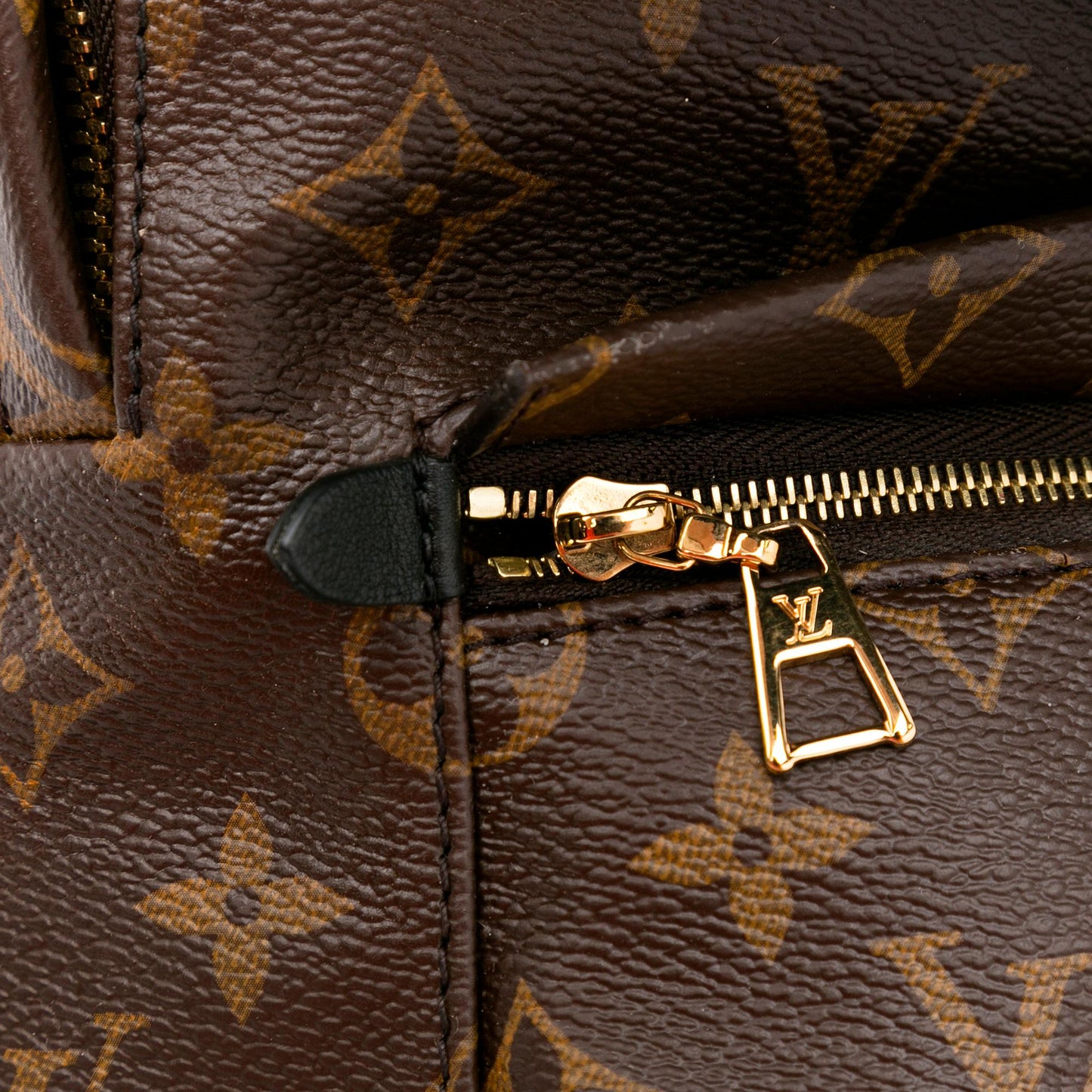 Louis Vuitton Monogram Palm Springs PM (SHG-Y129BK)