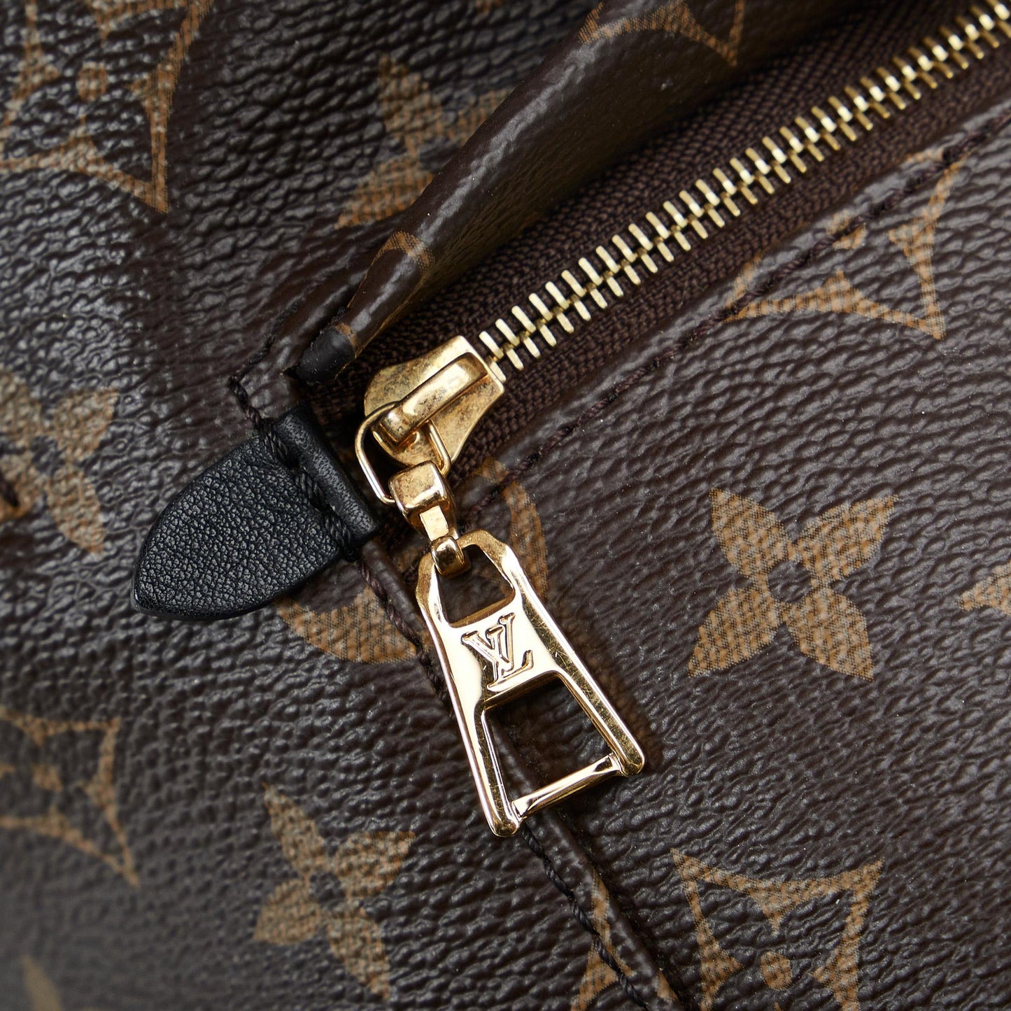 Louis Vuitton Monogram Palm Springs PM (SHG-cHfJey)