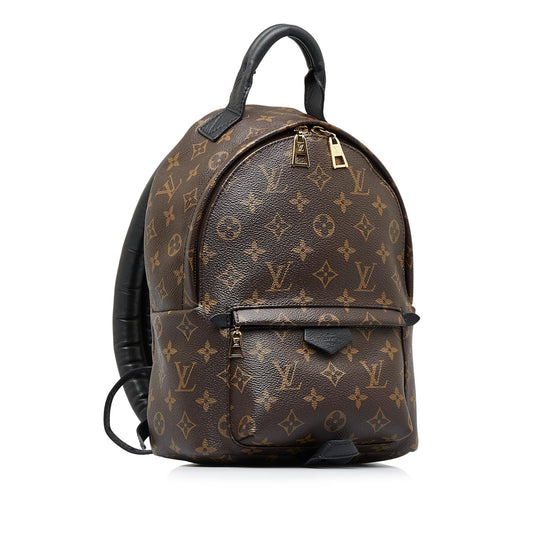 Louis Vuitton Monogram Palm Springs PM (SHG-cHfJey)
