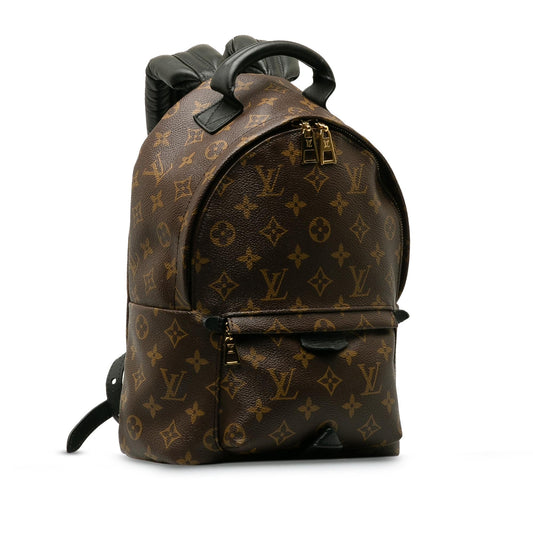 Louis Vuitton Monogram Palm Springs PM (SHG-vBRkVx)