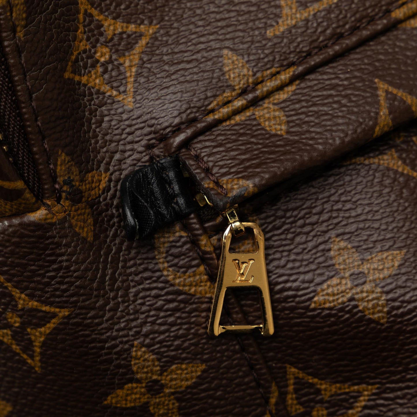 Louis Vuitton Monogram Palm Springs PM (SHG-Ogwvrd)