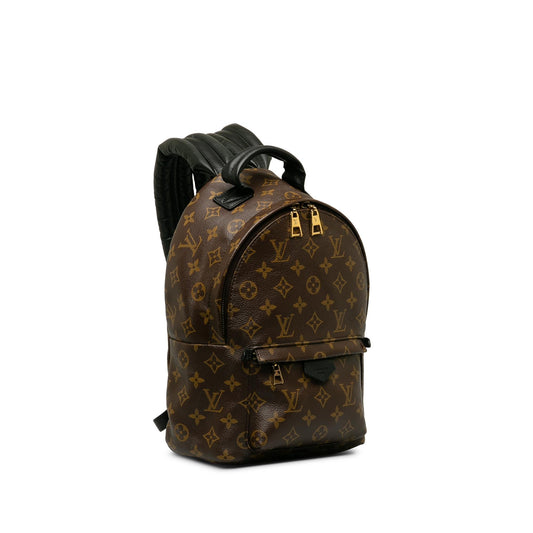 Louis Vuitton Monogram Palm Springs PM (SHG-Ogwvrd)