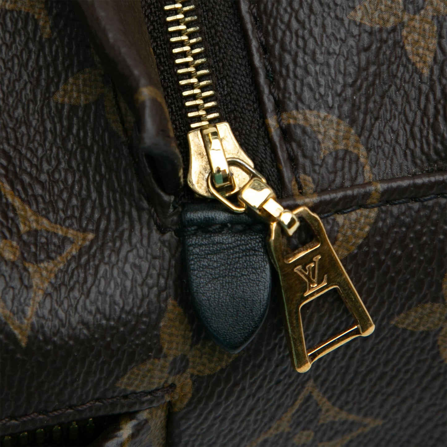 Louis Vuitton Monogram Palm Springs PM (SHG-t4LKWY)