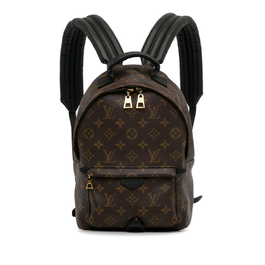 Louis Vuitton Monogram Palm Springs PM (SHG-t4LKWY)