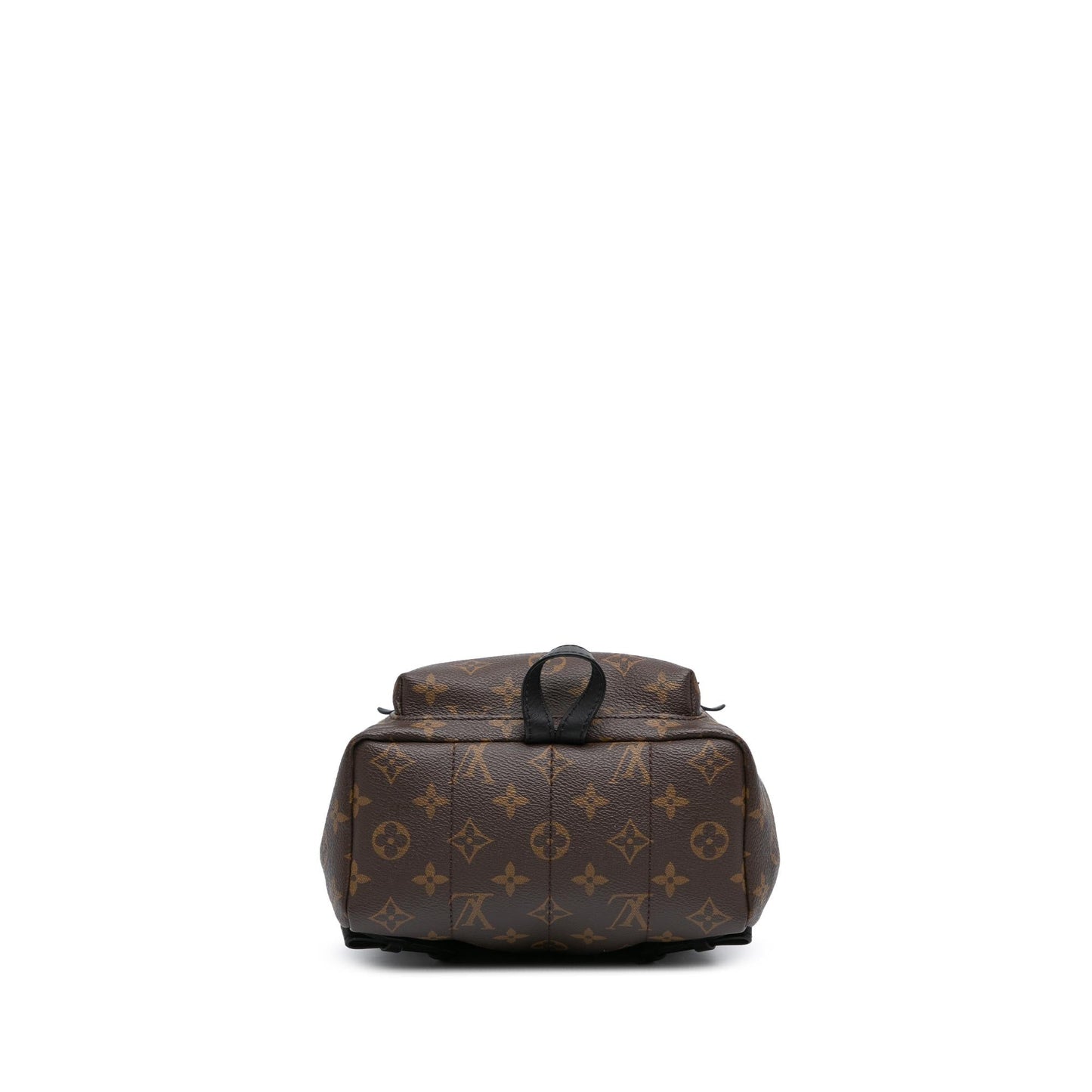 Louis Vuitton Monogram Palm Springs PM (SHG-VyZgca)