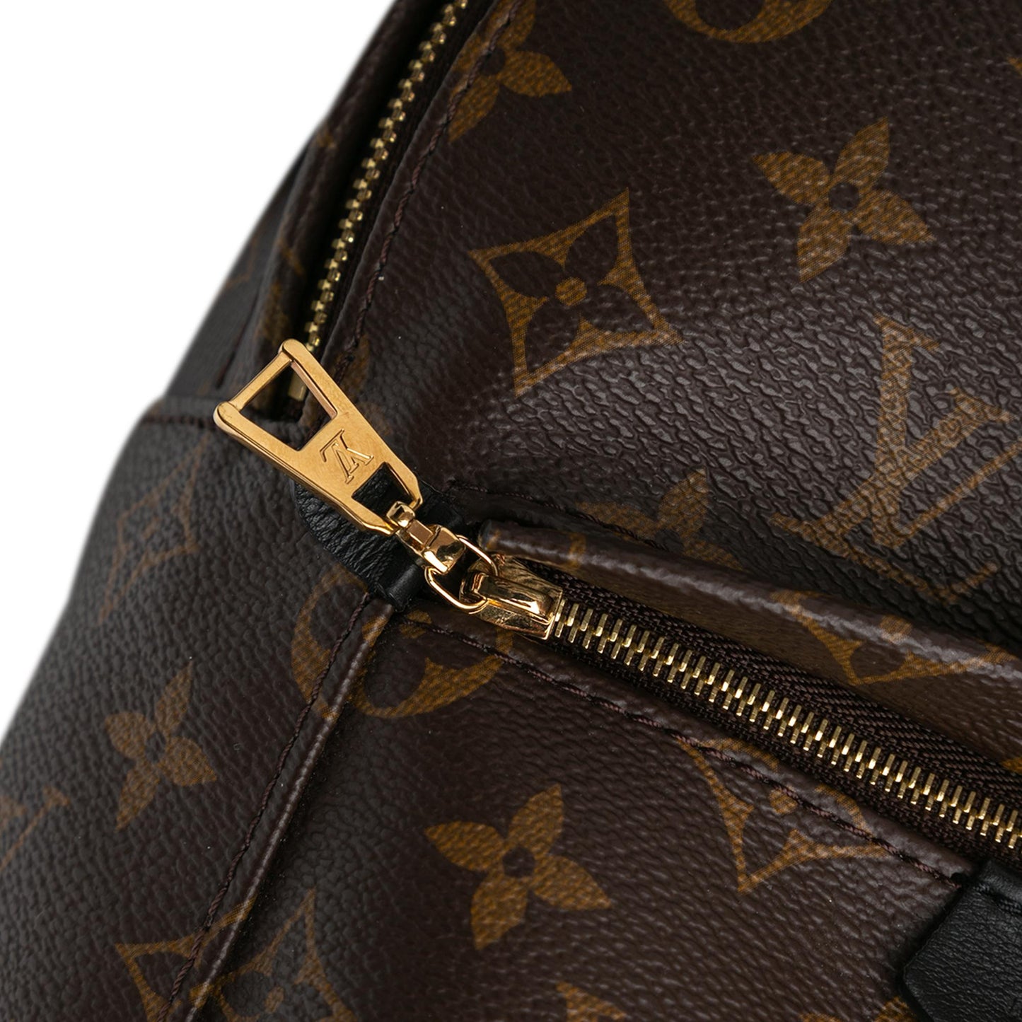 Louis Vuitton Monogram Palm Springs PM (SHG-VyZgca)