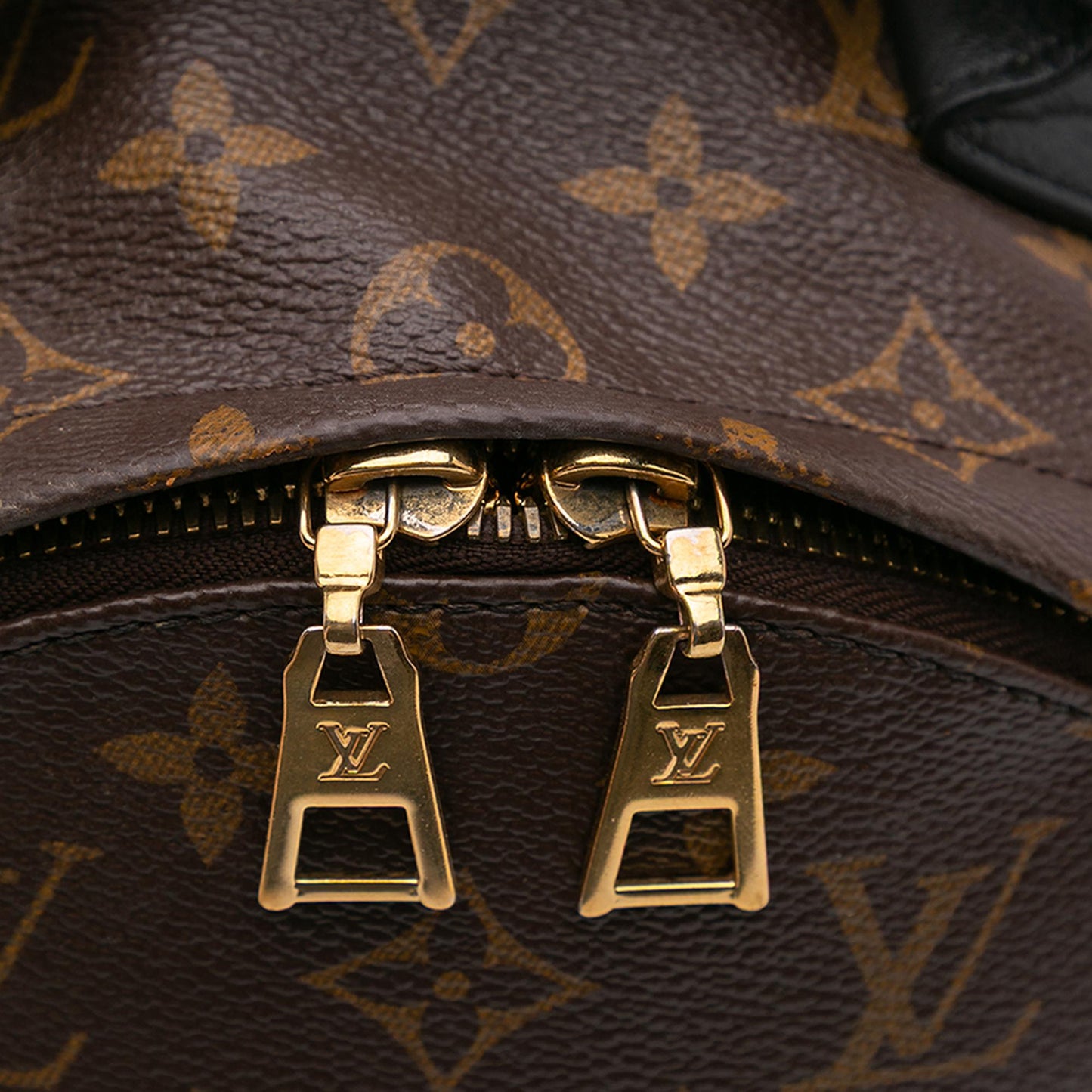 Louis Vuitton Monogram Palm Springs PM