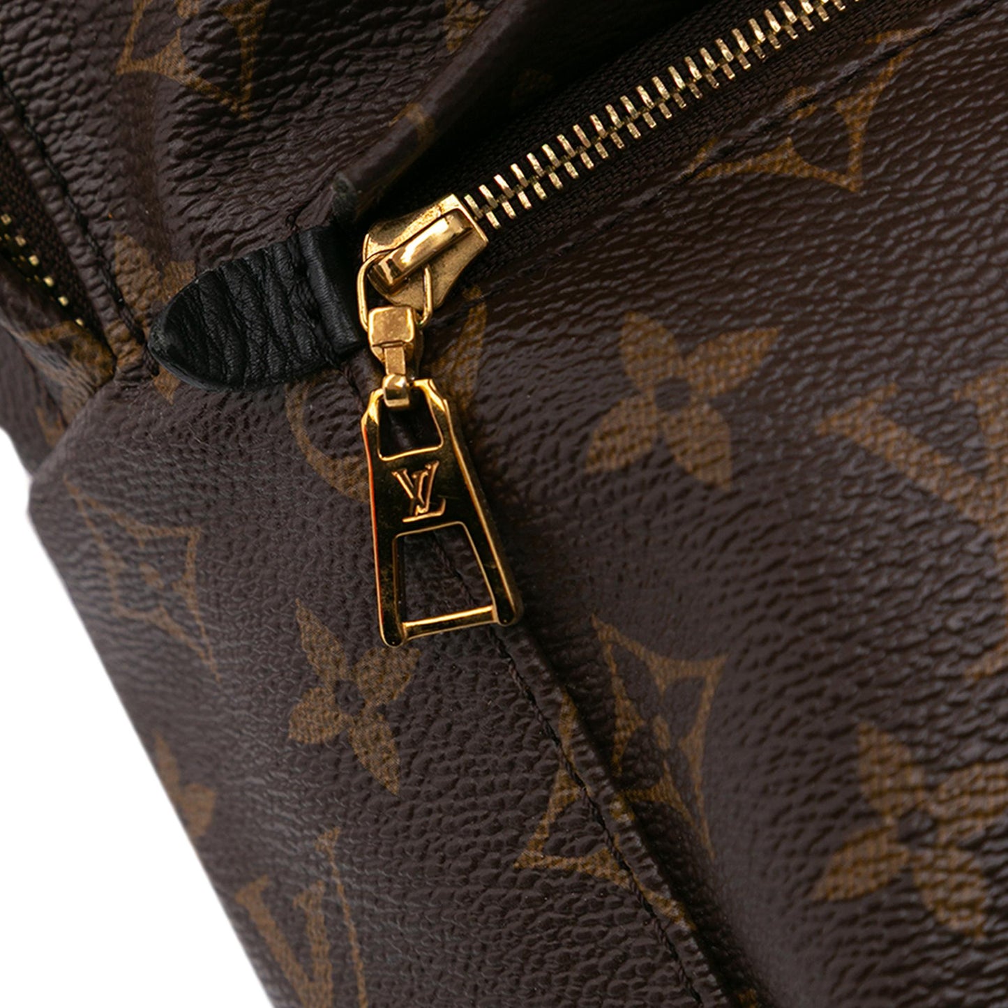 Louis Vuitton Monogram Palm Springs PM