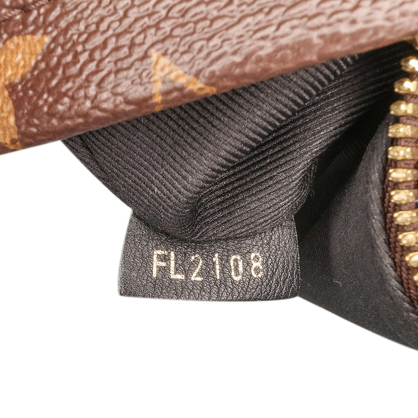 Louis Vuitton Monogram Palm Springs PM