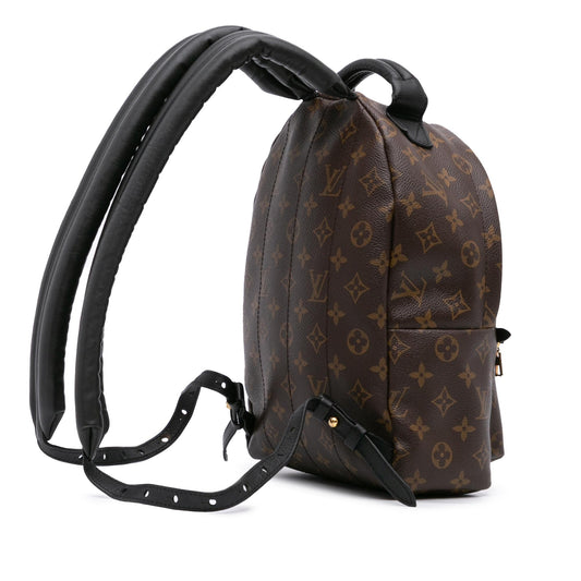 Louis Vuitton Monogram Palm Springs PM