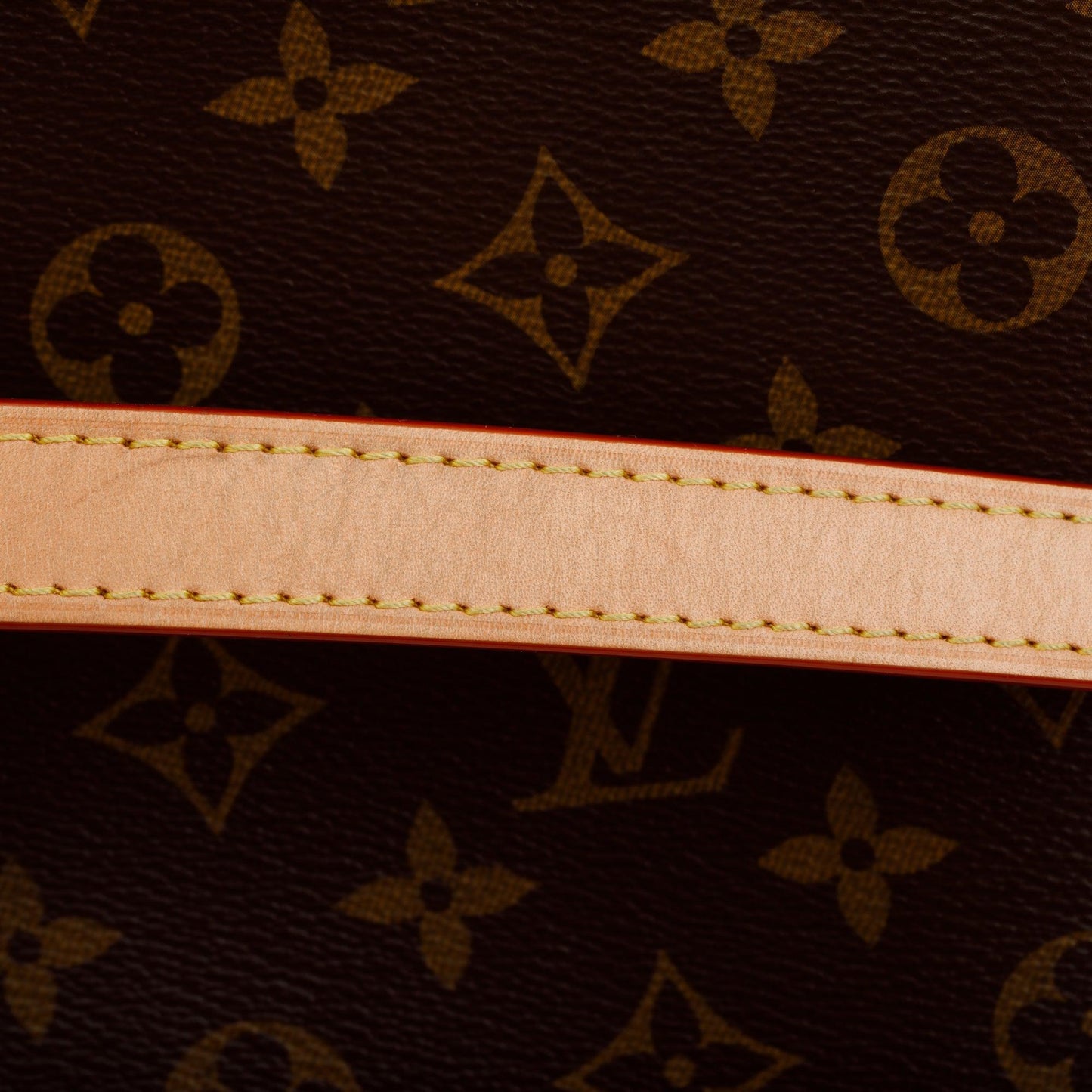 Louis Vuitton Monogram Petit Palais