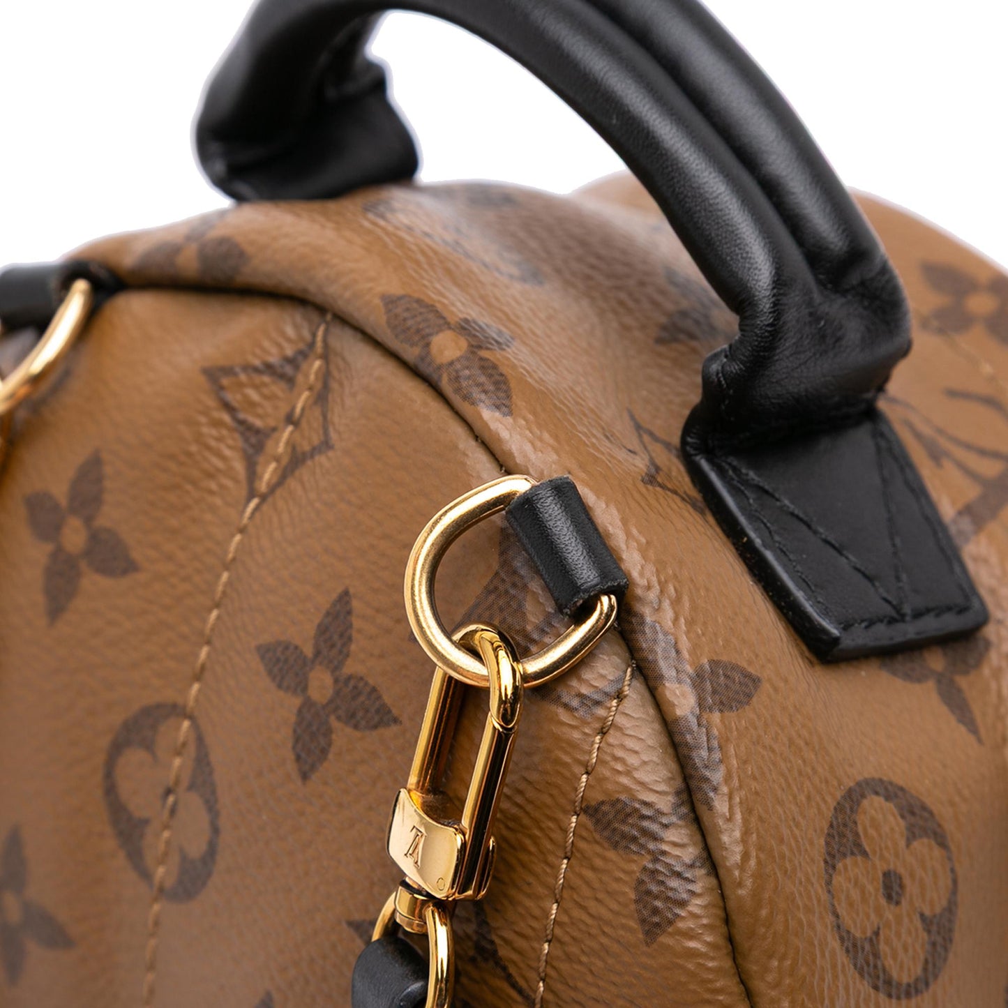 Louis Vuitton Monogram Reverse Mini Palm Springs