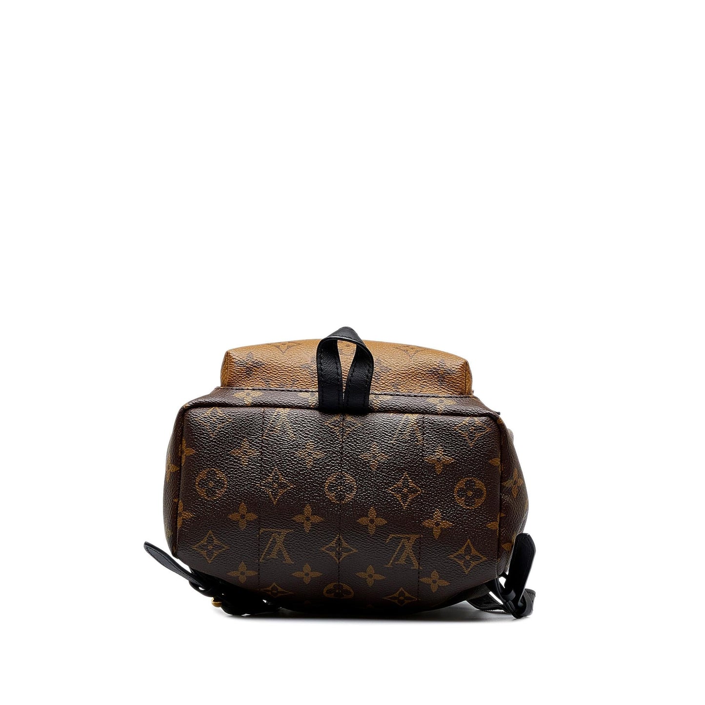 Louis Vuitton Monogram Reverse Palm Springs PM (SHG-YqLHt3)