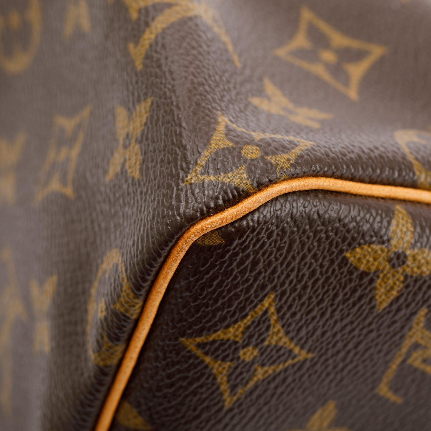 Louis Vuitton Monogram Speedy 25