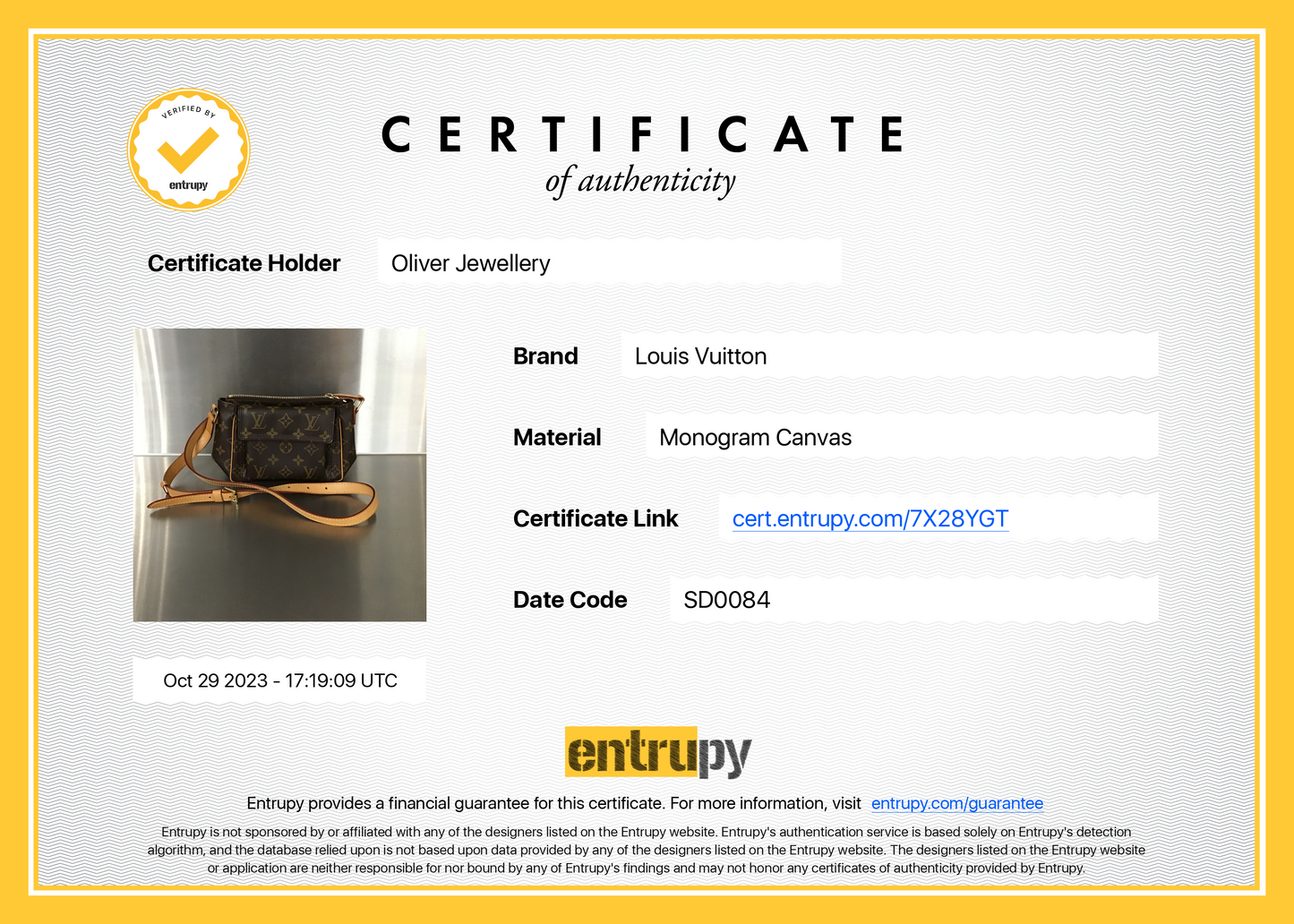 Louis Vuitton Monogram Viva Cite PM