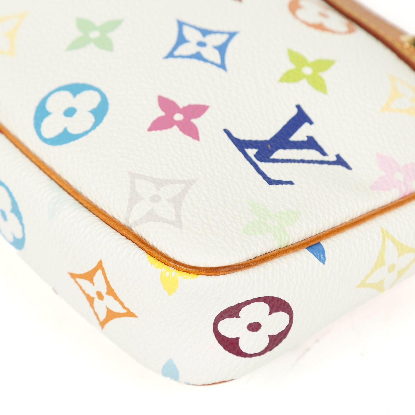 Louis Vuitton Multicolore Pochette Accessories