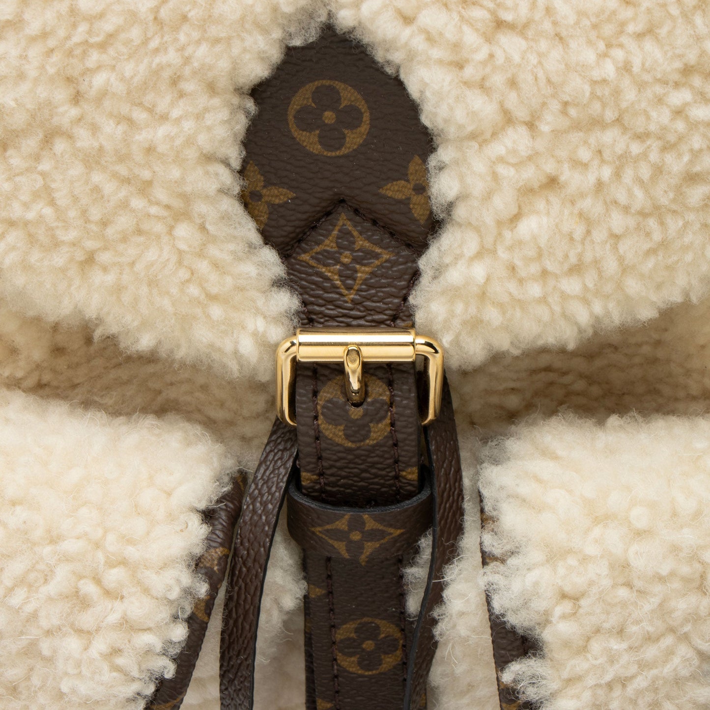 Louis Vuitton Shearling Monogram Canvas LV Ski Backpack