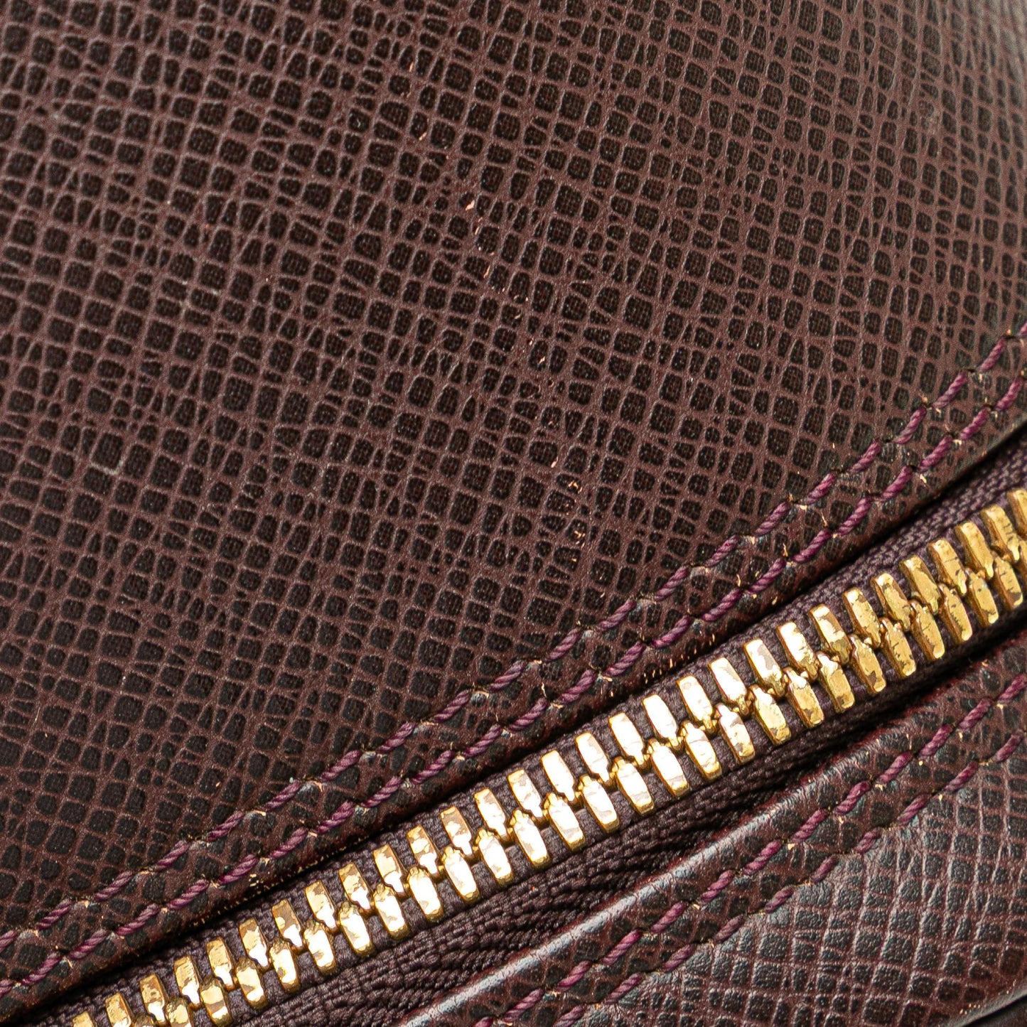 Louis Vuitton Taiga Reporter PM
