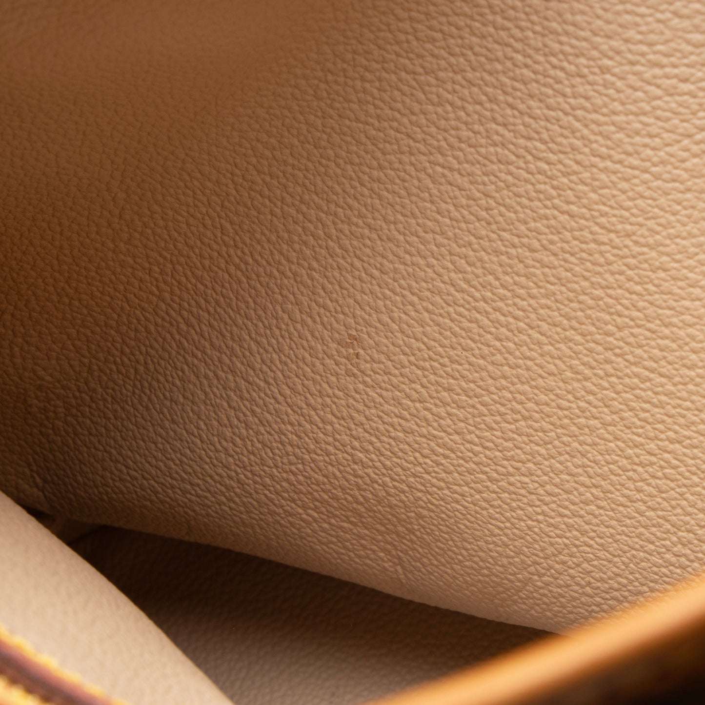 Louis Vuitton Vintage Monogram Canvas Petit Bucket Tote