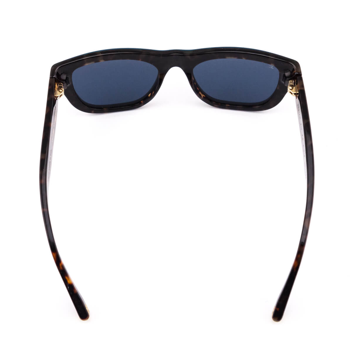 Louis Vuitton Blue & Tortoise Aster Sunglasses