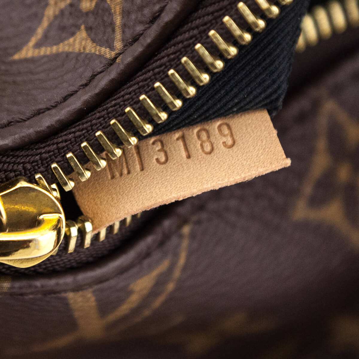 Louis Vuitton Monogram Bumbag