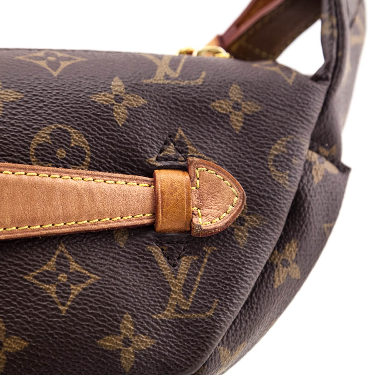 Louis Vuitton Monogram Bumbag