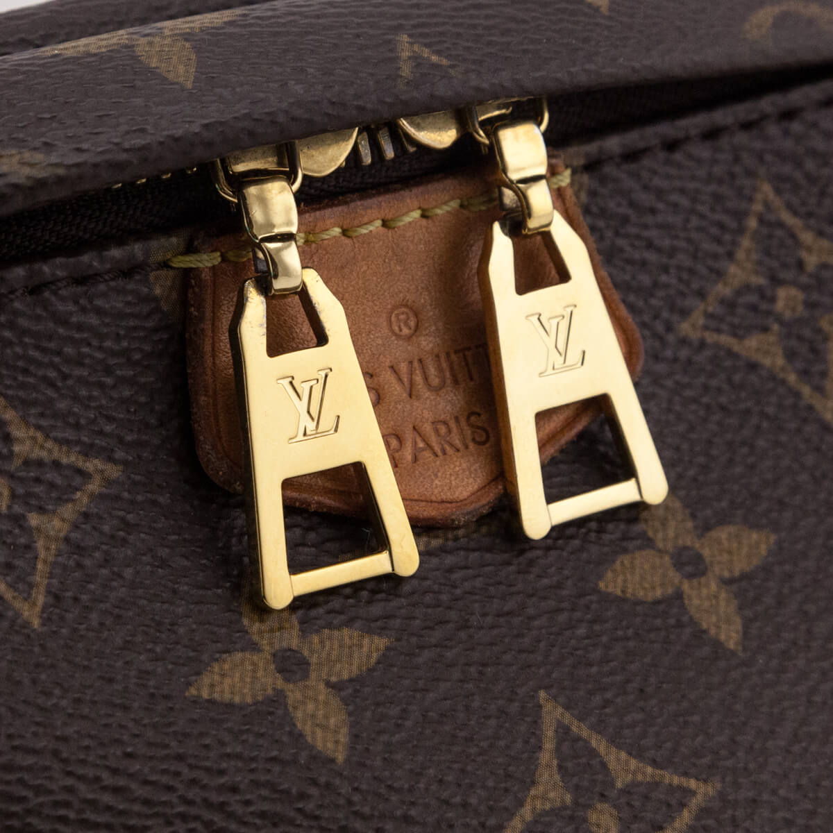 Louis Vuitton Monogram Bumbag