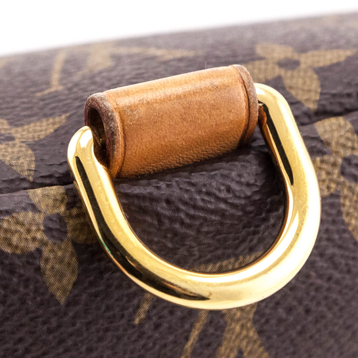 Louis Vuitton Monogram Bumbag