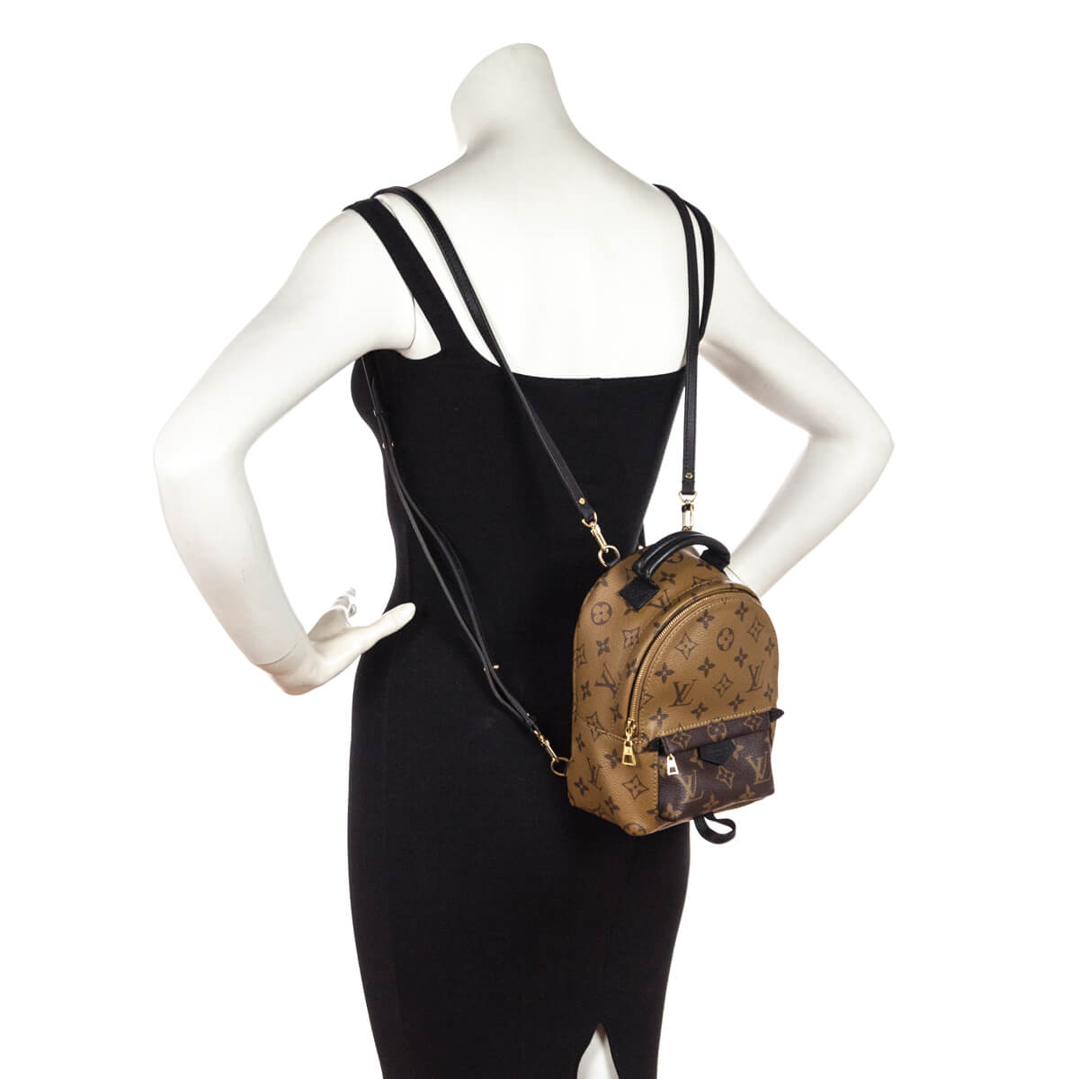 Louis Vuitton Reverse Monogram Mini Palm Springs Backpack