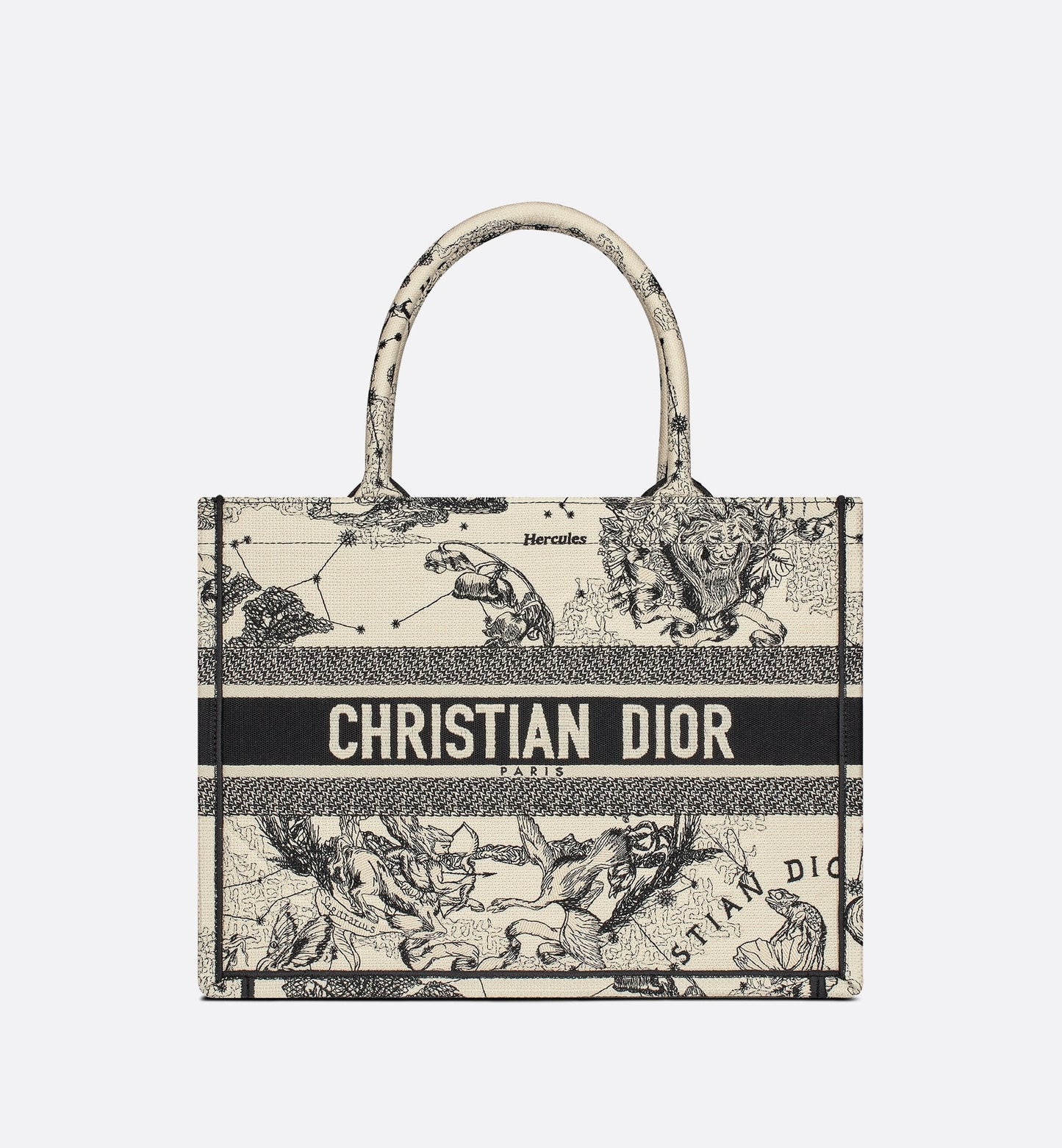 Medium Luxury Dior Book Tote Latte And Black Luxury Dior Zodiac Embroidery