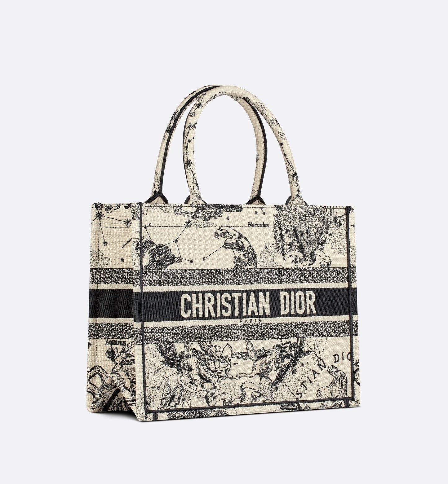Medium Luxury Dior Book Tote Latte And Black Luxury Dior Zodiac Embroidery