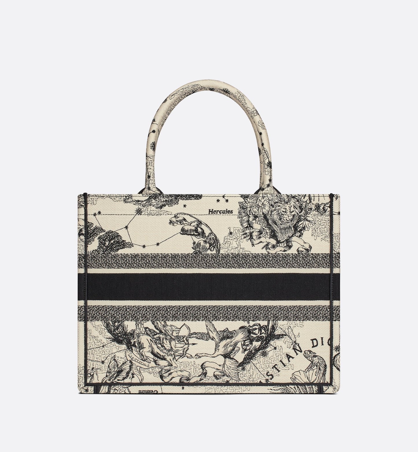 Medium Luxury Dior Book Tote Latte And Black Luxury Dior Zodiac Embroidery