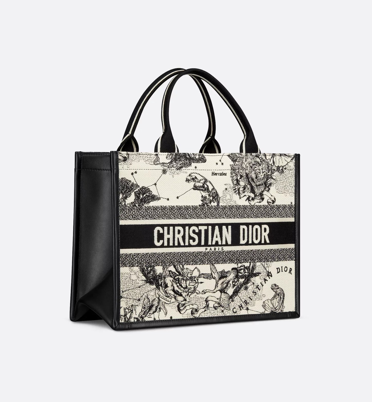 Medium Luxury Dior Book Tote Latte and Black Luxury Dior Zodiac Embroidery with Black Calfskin