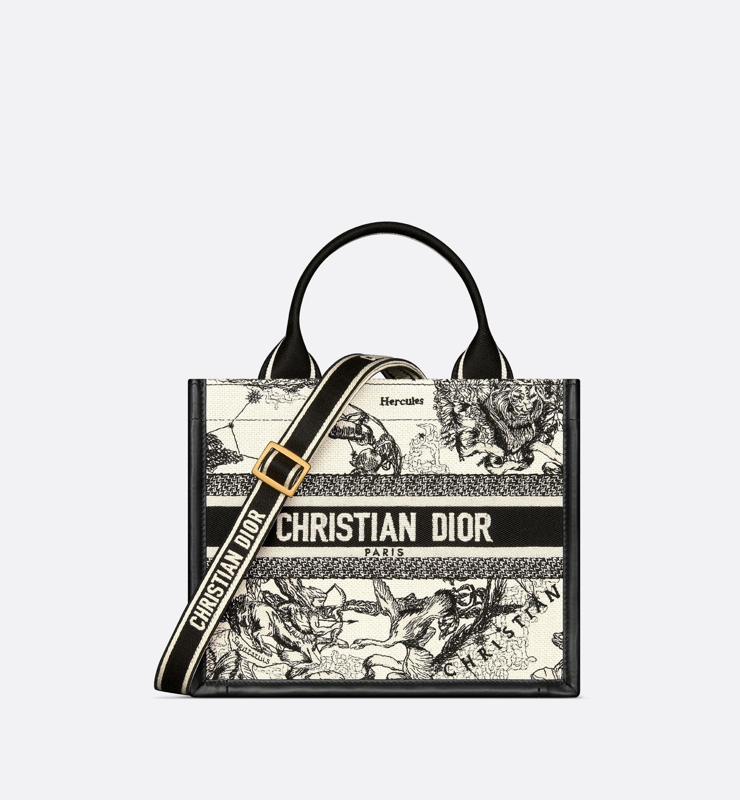 Small Luxury Dior Book Tote Latte And Black Luxury Dior Zodiac Embroidery With Black Calfskin