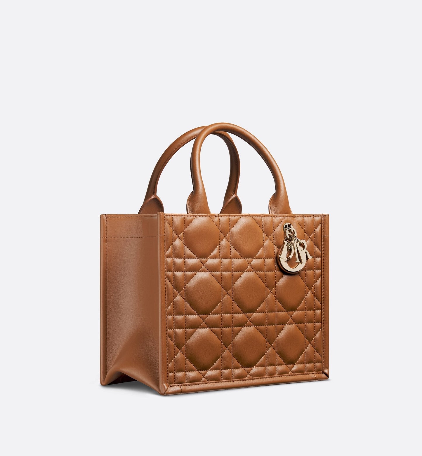 Small Luxury Dior Book Tote Golden Saddle Macrocannage Calfskin