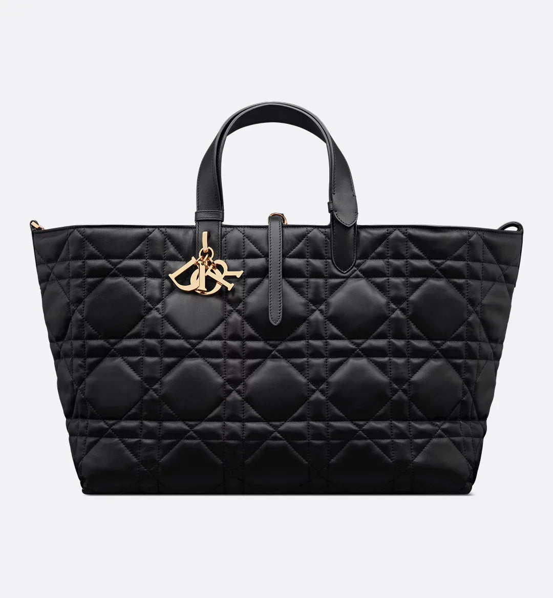 Large Luxury Dior Toujours Bag