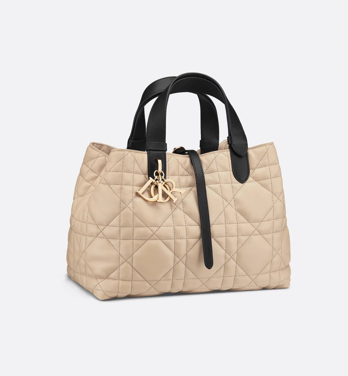 Medium Luxury Dior Toujours Bag