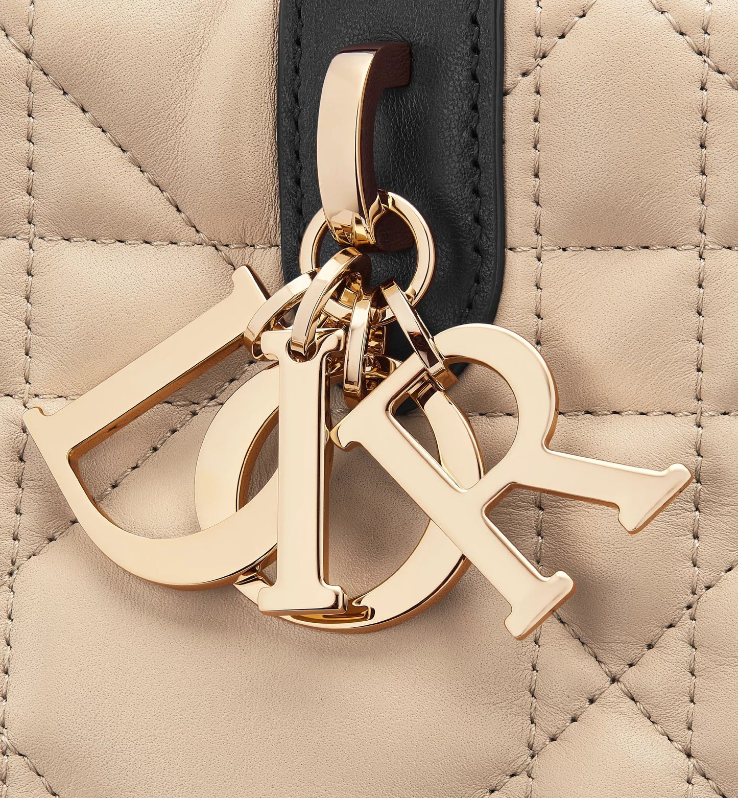 Medium Luxury Dior Toujours Bag
