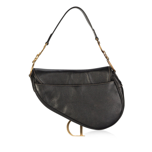 Luxury Dior Iconic Saddle Bag