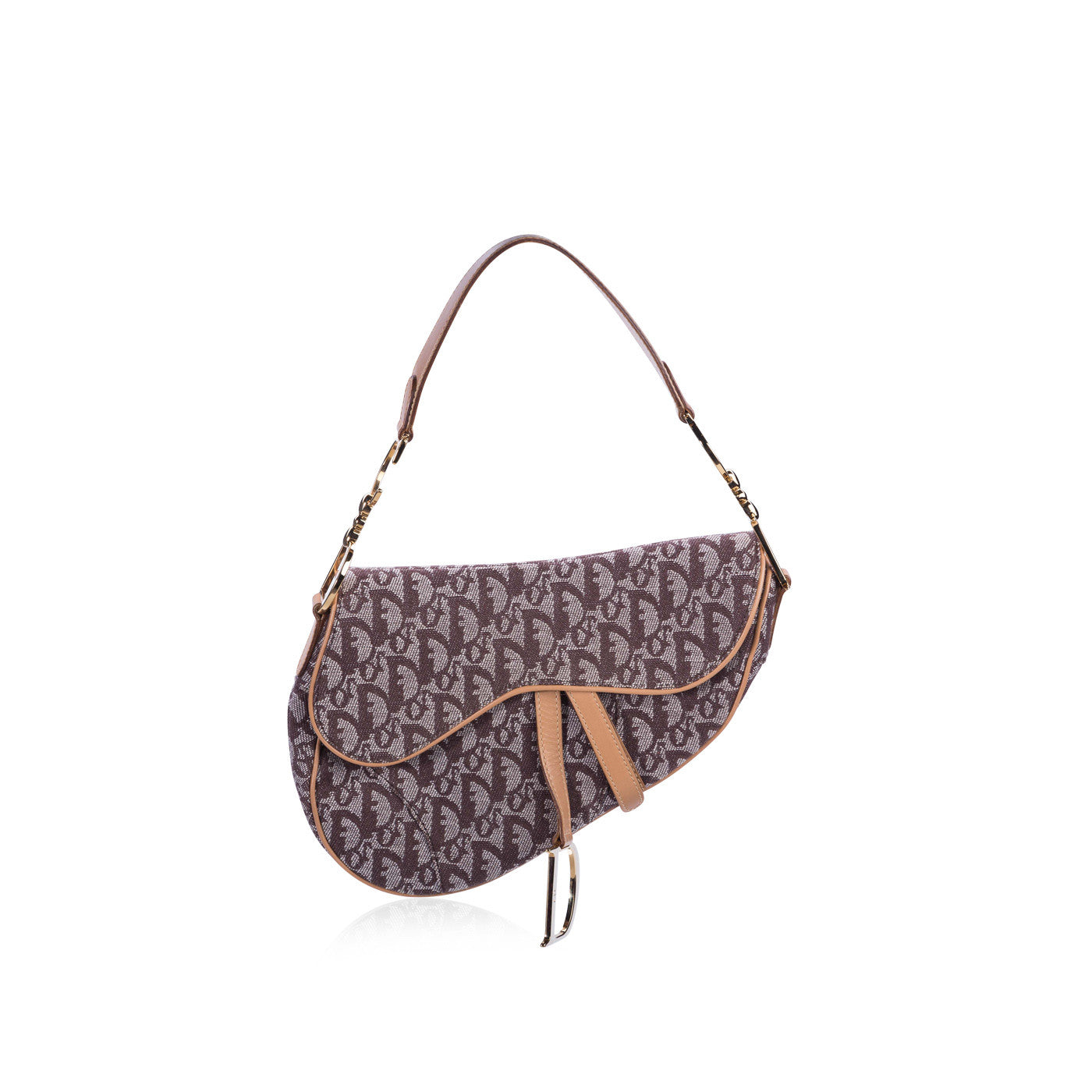 Luxury Dior Iconic Saddle Bag