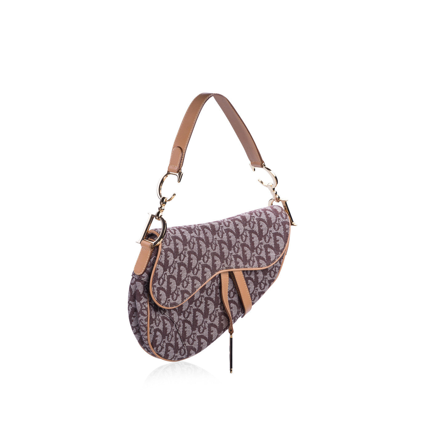 Luxury Dior Iconic Saddle Bag
