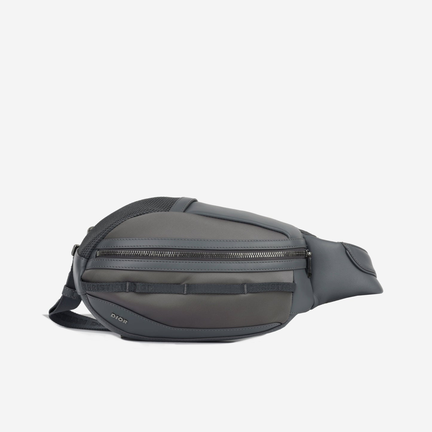 Luxury Dior Scarab Bag