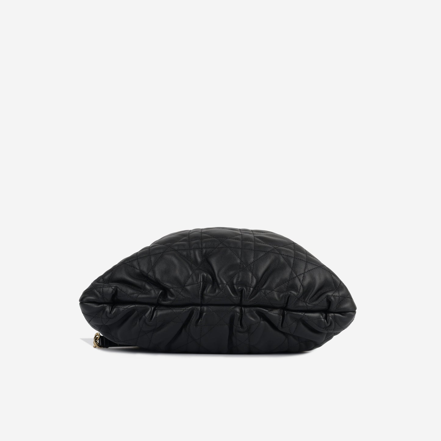 Luxury Dior Large Ammi Bag