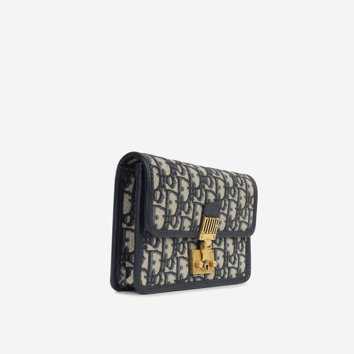 Luxury Dior Luxury Dioraddict Wallet on Chain