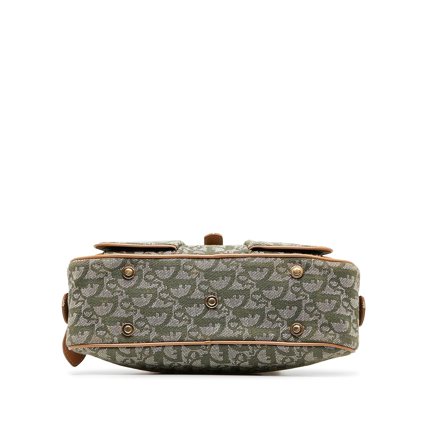 Luxury DiorOblique Double Saddle Bowler Handbag