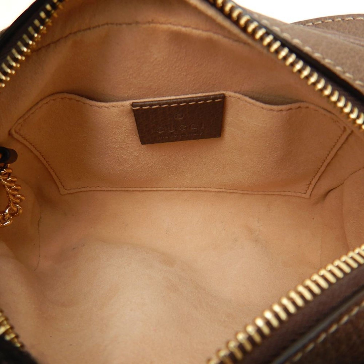 Gucci Ophidia  Canvas Shopper Bag ()